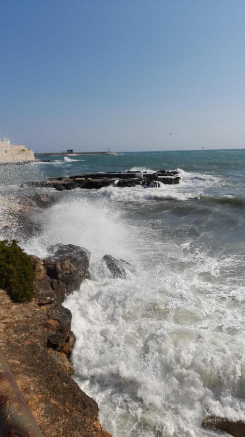 Il Vecchio Carrubo - Villa Con Piscina A Sfioro Macchia di Monte Exterior foto